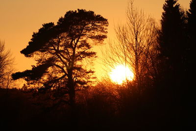 Silhouette trees against sky during sunset