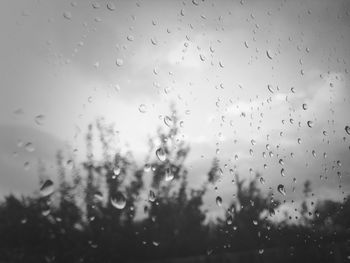 Close-up of water drops on glass