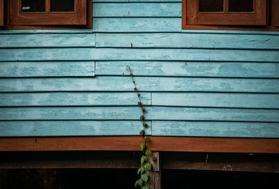 Close-up of window of old building