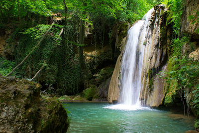 Scenic view of waterfall in forest