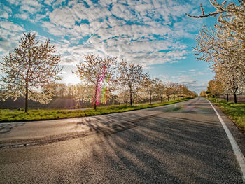 Country road by trees against sky