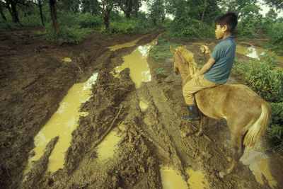 Side view of man sitting in forest