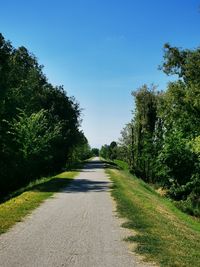 Road amidst trees against sky