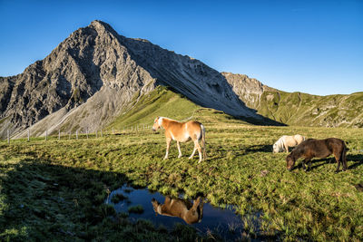 Scenic view of mountains against clear blue sky