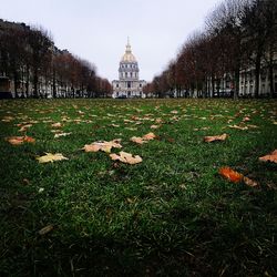 View of flowers growing in front of temple