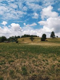 Scenic view of field against sky