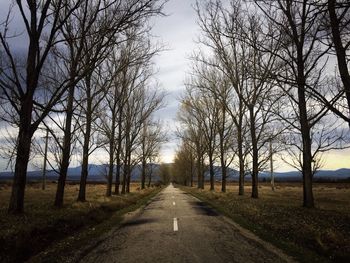 Road amidst bare trees against sky