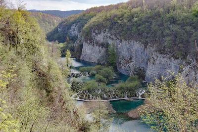 Scenic view of river in forest against sky