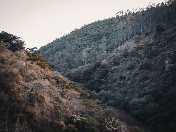 Scenic view of mountains against clear sky