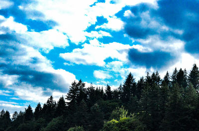 Low angle view of trees against cloudy sky