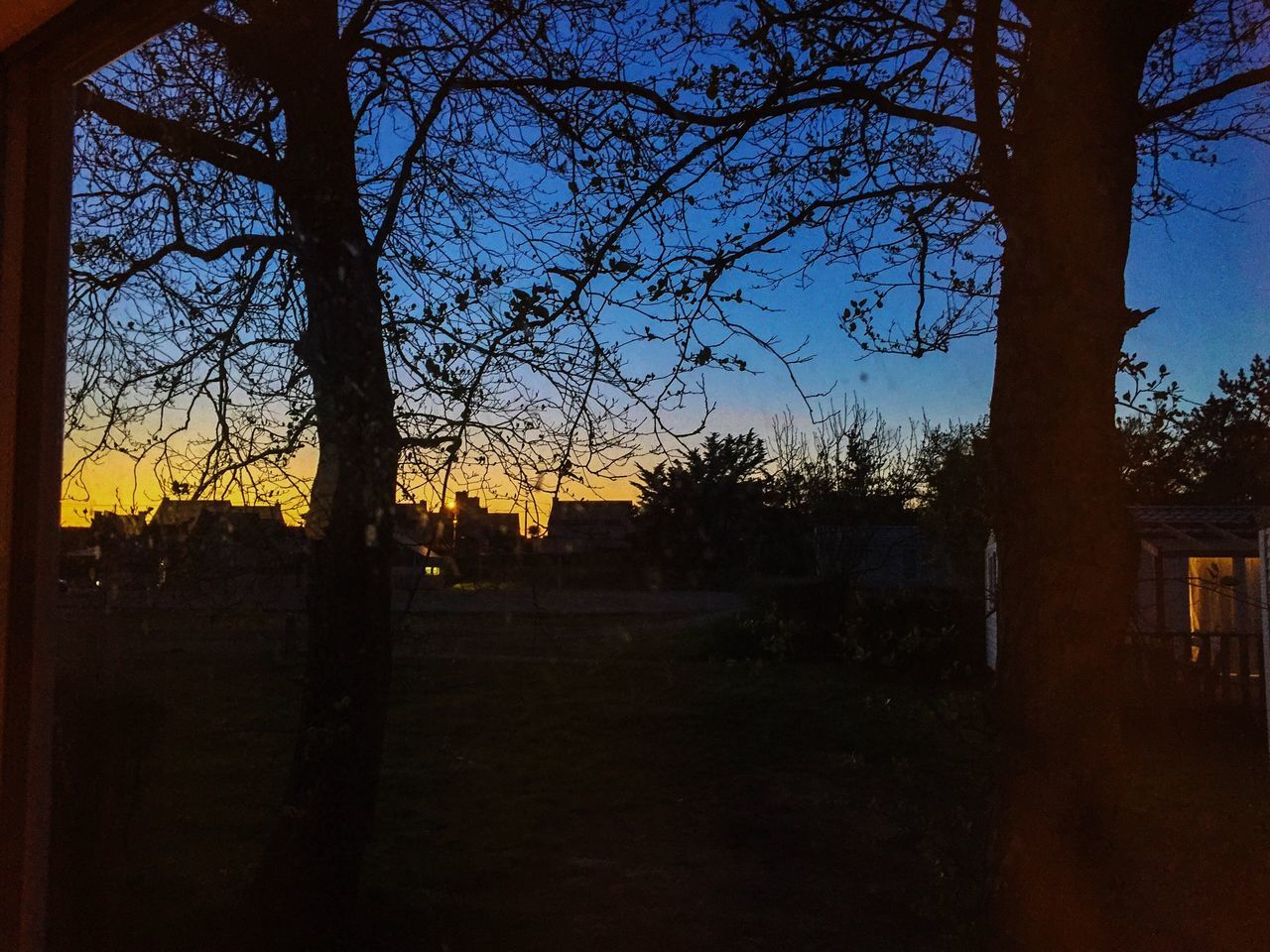 SILHOUETTE BARE TREES AGAINST SKY