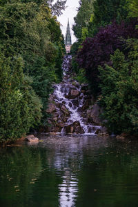 Scenic view of waterfall in forest