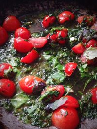 Close-up of red tomatoes