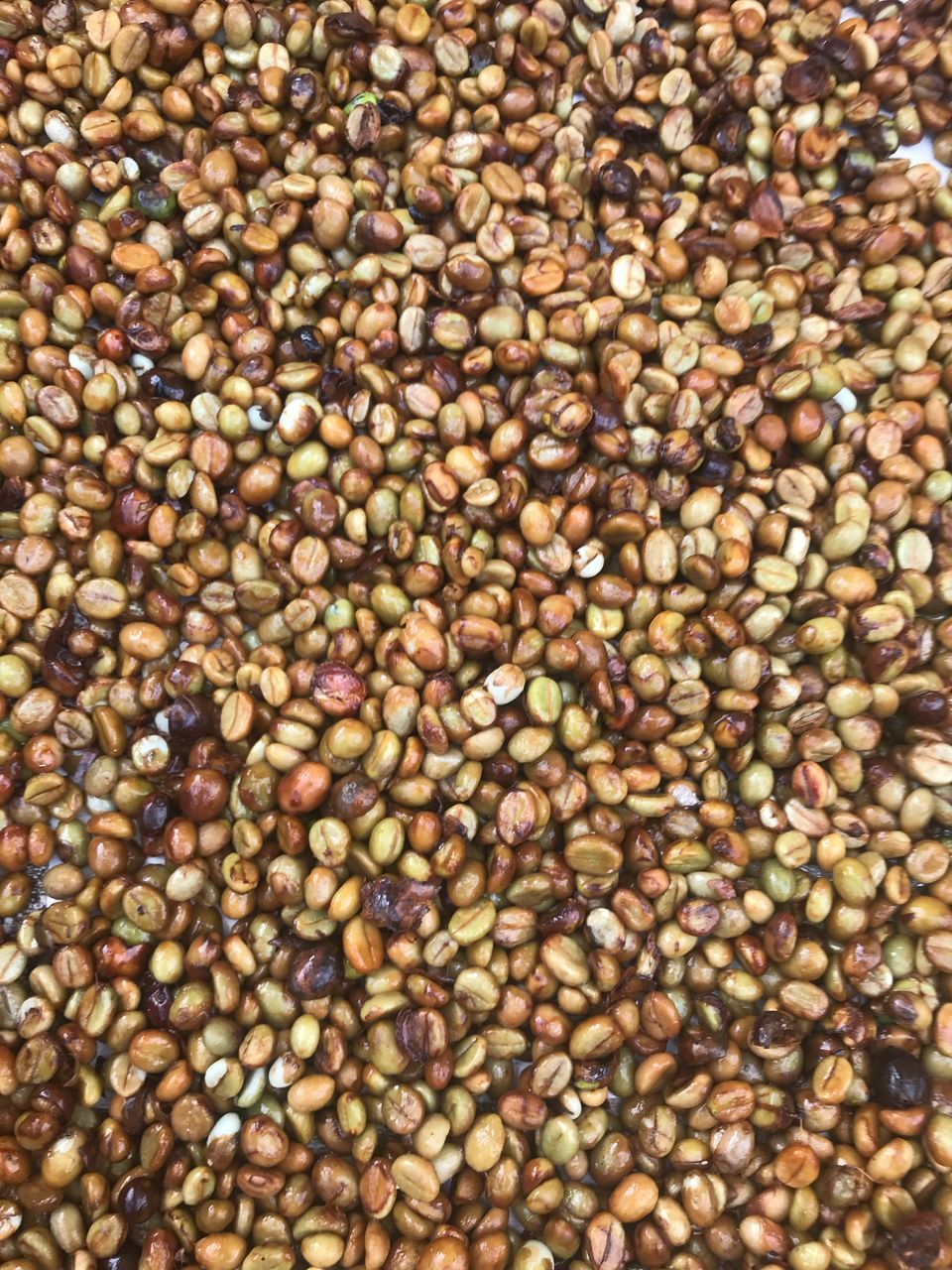 FULL FRAME SHOT OF COFFEE BEANS IN BACKGROUND