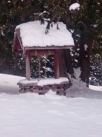 White bird perching on snow covered field during winter