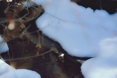 Close-up of white background