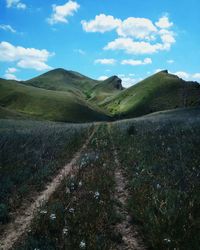 Scenic view of landscape against sky