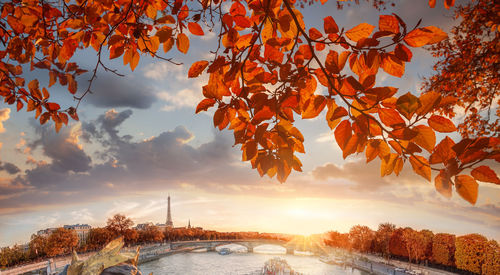 Scenic view of autumn trees against sky during sunset