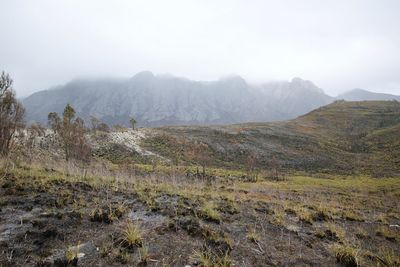 Scenic view of landscape against sky