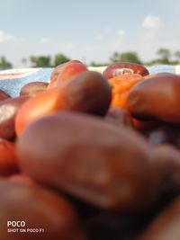 Close-up of hand holding orange