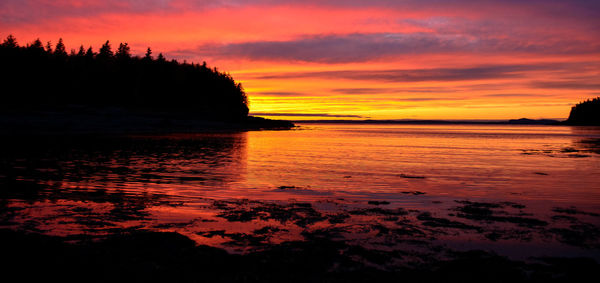 Scenic view of sea against orange sky