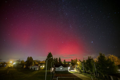 Low angle view of trees against sky at night