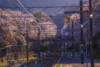 Railroad tracks by trees