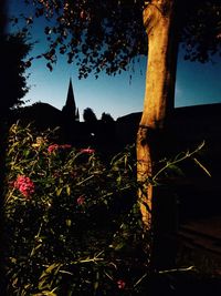 Low angle view of illuminated built structure