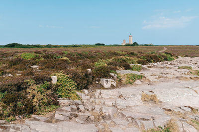 Scenic view of lighthouse by land against sky