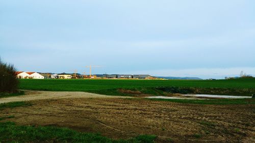 Scenic view of agricultural field against sky