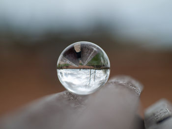 Reflection of bare tree in crystal ball against sky