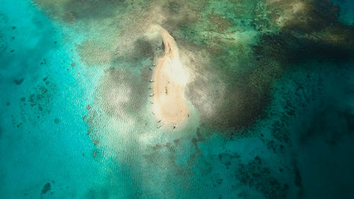 Low section of woman swimming in sea