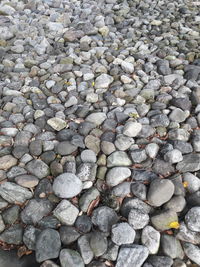 Full frame shot of stones