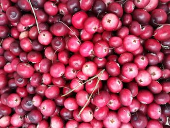 Full frame shot of berries