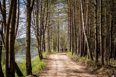 Dirt road along river