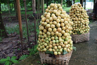 Stack of fruits in basket