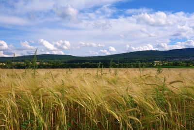 Scenic view of field against cloudy sky