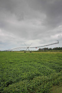 Grassy field against cloudy sky