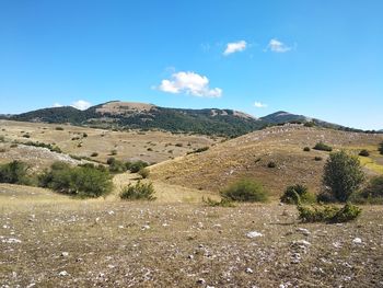 Scenic view of field and mountains against blue sky