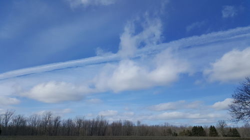 Low angle view of trees against cloudy sky