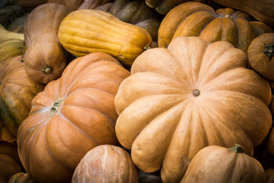 A rustic autumn still life with organic pumpkins in traditional simple rustic style muted colors