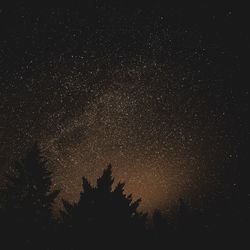 Low angle view of silhouette trees against sky at night