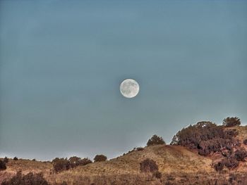 Low angle view of moon against blue sky