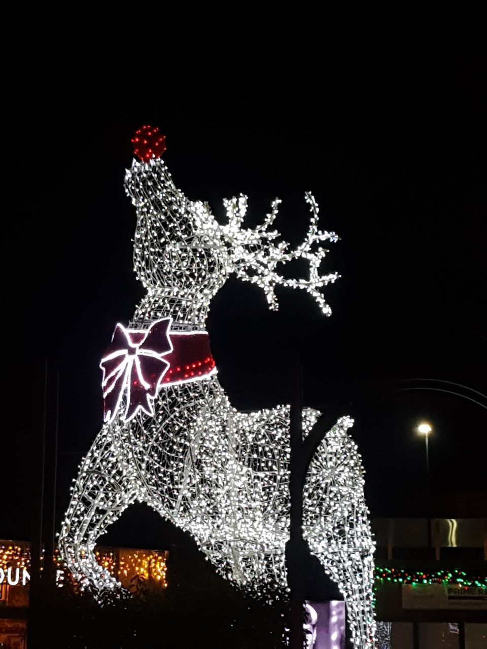 LOW ANGLE VIEW OF ILLUMINATED CHRISTMAS TREE