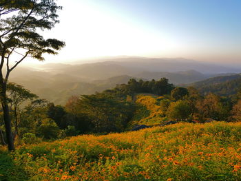 Scenic view of mountains against sky