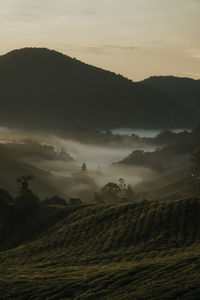 Scenic view of mountains against sky during sunset