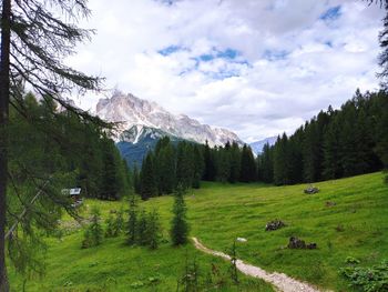 Scenic view of trees and mountains against sky
