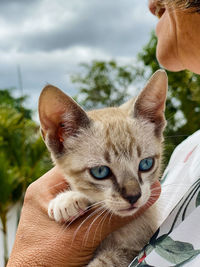 Woman holding a cat with blue eyes