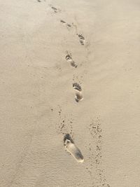 High angle view of footprints on beach