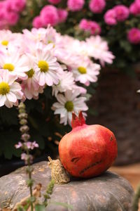 Close-up of apple on table